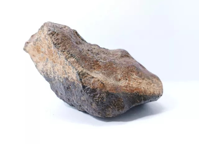 unclassified chondrite meteorite NWA xxx, 598gm 3