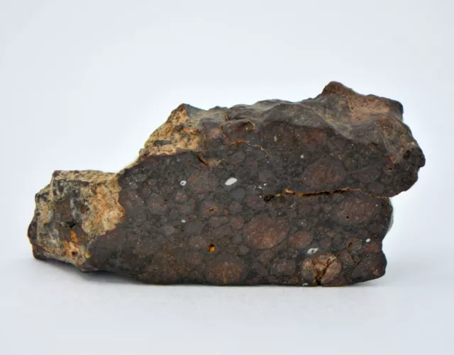 4.12g CR2 Carbonaceous Chondrite Meteorite Slice I NWA 7020 - TOP METEORITE