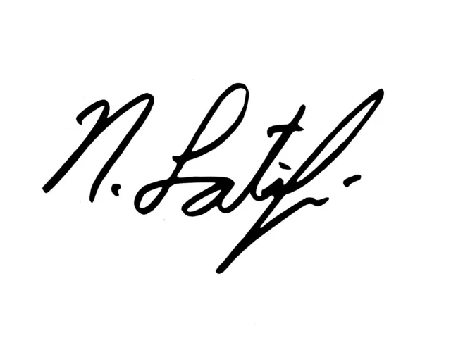 Formula 1 Nicholas Latifi Signature Decal Sticker Permanent Vinyl W 10cm x 6.67