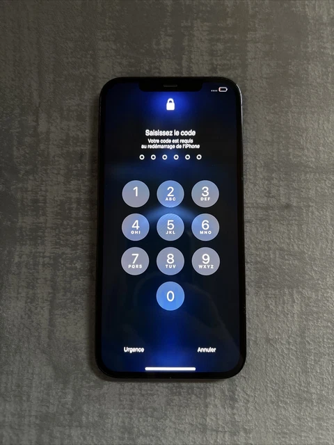 IPhone 12 Pro Max – 128 Go – Or – Bloqué ICloud – Pour Pièces