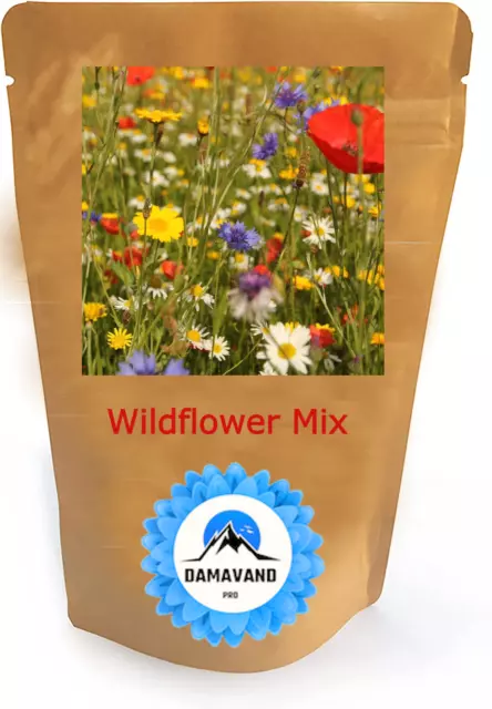 MEADOW WILD FLOWER BUTTERFLY & BEE MIX poppy cornflower oxeye daisy 2000 seeds