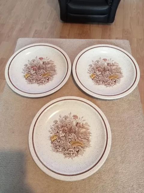 Set of 3 Homespun Stonecast Churchill Staffordshire Hedgerow Dinner Plates