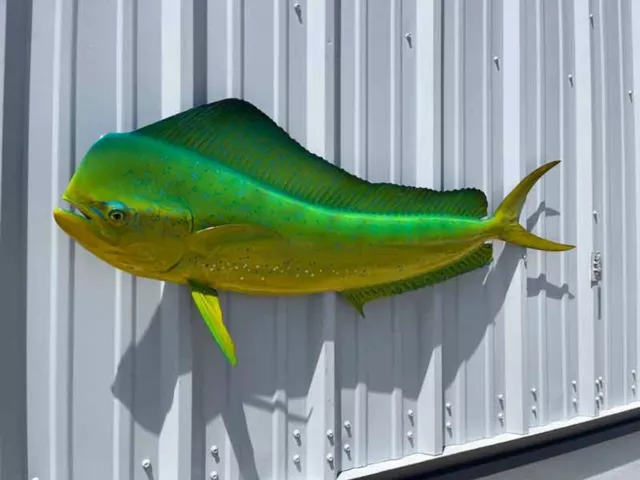 53" Bull Dolphin "Green Hornet" Left Half Fish Mount Replica (aka Mahi Mahi)