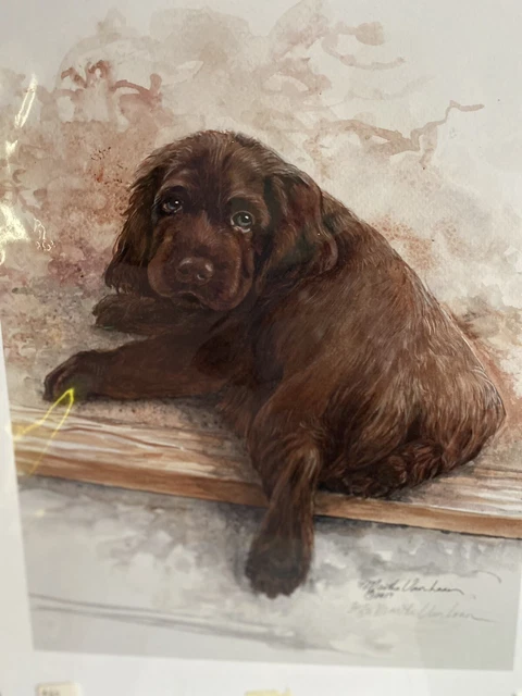 Sussex Spaniel Puppy 2/50 11x14 Print Signed Van Loan Sussex Spaniel Puppy 2/50 11x14 Print Signed Van Loan