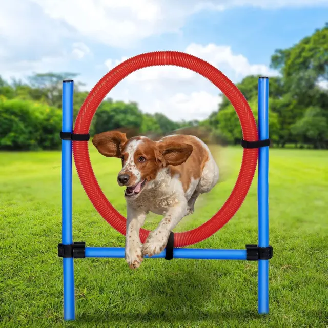 Anillo de salto de agilidad para perro obstáculo ejercicio juego de postes equipo de entrenamiento de obediencia