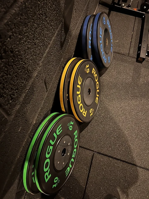 Rogue fitness online training plates