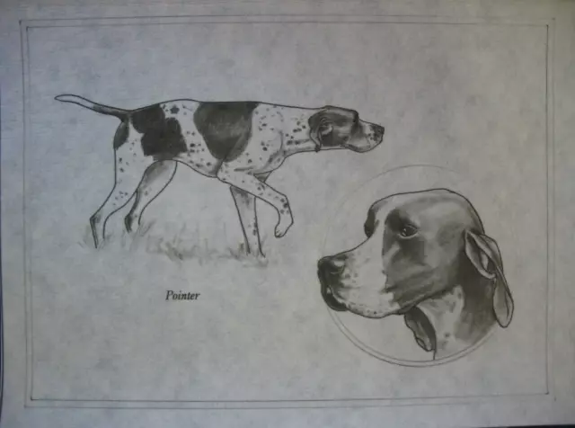 * TRI CHEM 7305 A POINTER BIRD HUNTING DOG Picture to paint TRICHEM