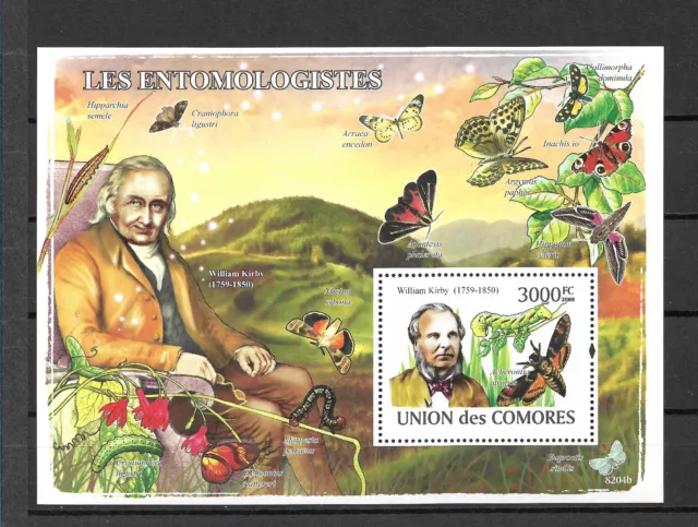 Comores 2008, Hoja Bloque Mariposas. Mnh.