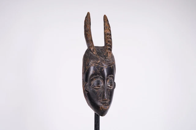 Gorgeous Horned Yaure Mask 15.75" - Ivory Coast - African Art