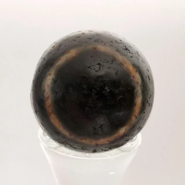 Pumtek Pyu Ghost 2 Eye Agate Bead DZI Indo Tibetan 19MM #471 11