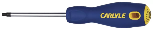 Carlyle Outils Par Napa SDT25 Tournevis Torx T25 X 10.2cm