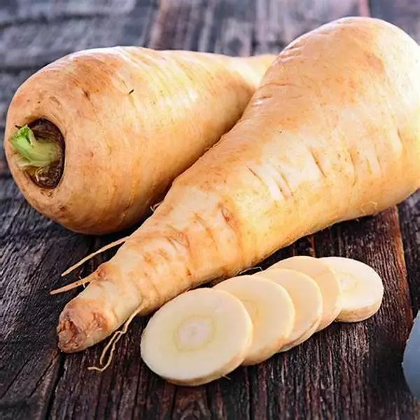 Parsnip (Guernsey Half Long) 20-300 Seeds *Organic Heirloom Fresh Tas Grown