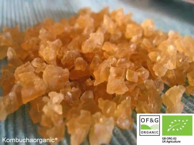 Outstanding Quality CERTIFIED Organic Live Water Kefir Grains Kombuchaorganic®