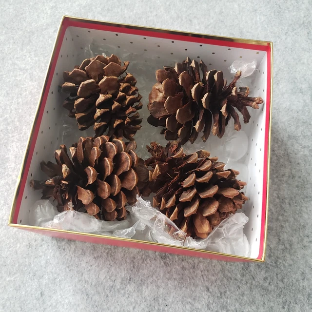 Caja de regalo de Navidad de 4" conos de pino de papel de azúcar regalos de Los Ángeles