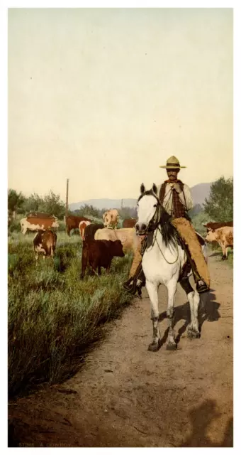 California, a Kern river Cowboy Tirage vintage print, photochromie, vintage ph