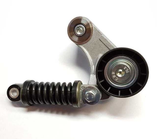 Tendeur de Courroie Set Pour Renault Clio Laguna Megane Scenic Espace 1.9 dTi