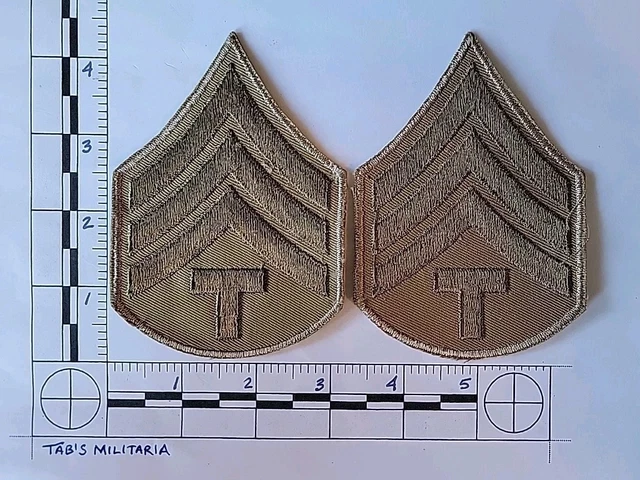 Il Corpo Degli Ingegneri Dell'Esercito - TiscaliNews - Foto 13