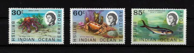 British Colonies - BIOT, SEA LIFE - Good set of very fine stamps, Mi.Nr. 36-38