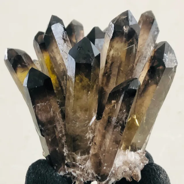 307g  New Find Black Phantom Quartz Crystal Cluster Mineral Specimen Healing