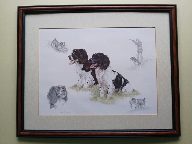 Nigel Hemmings Springer Spaniel print FRAMED Nigel Hemmings Springer Spaniel print FRAMED