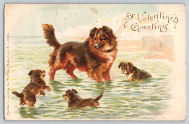 Postal Día de San Valentín Perros y Cachorros Jugando en el Agua Indivisos 1906