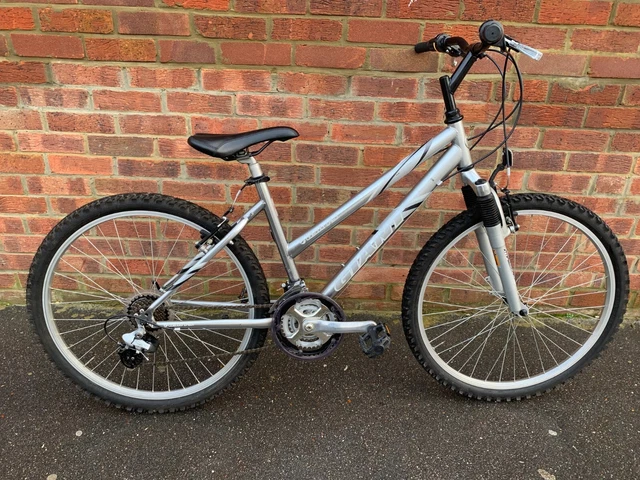 17 inch shop women's bike