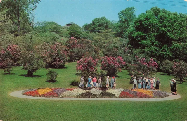 Rochester Highland Park New York Postcard 2R5-450