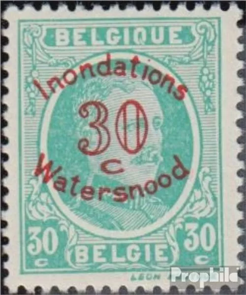 Belgium 207 (complete issue) with hinge 1926 Flood