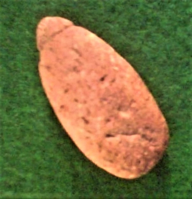 vad - GROOVED PLUMMET - SHASTA COUNTY, CA