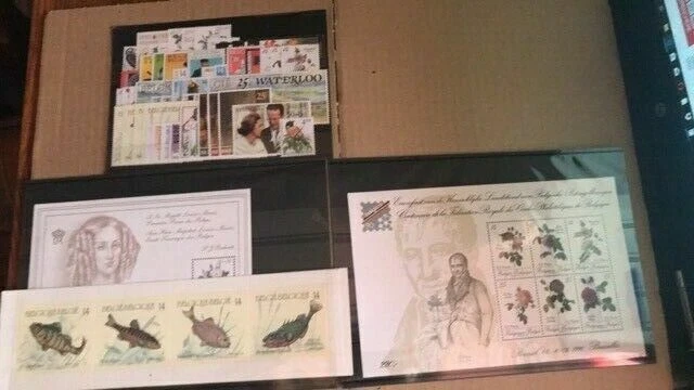 belgique 1990 année complète neuf sans charnière