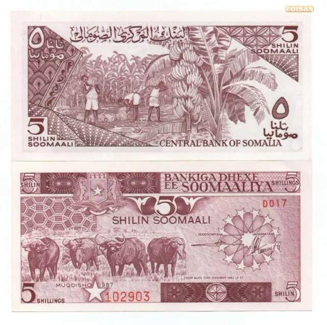 Somalia 5 Shillings 1987 Pick 31C Unc