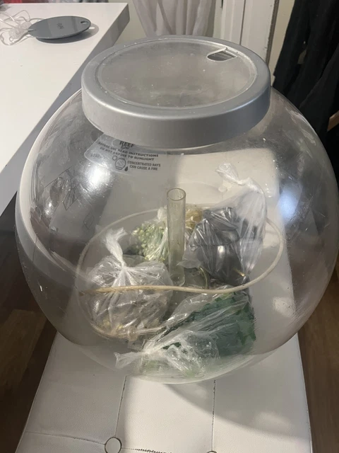 biorb classic 30l fish tank
