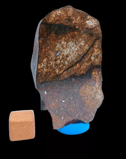 unclassified NWA Chondrite Meteorite of 91.60 gm, with fusion crust.