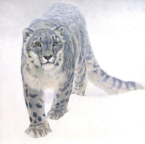 Robert Bateman Out of the White Snow Leopard