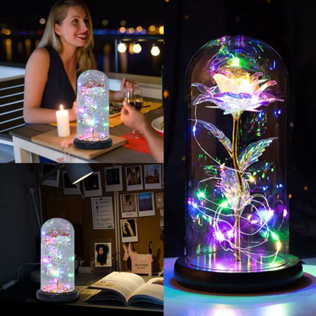 Enchanted Forever Rose Flower In Dome Glass LED Night Light Anniversaries Gift