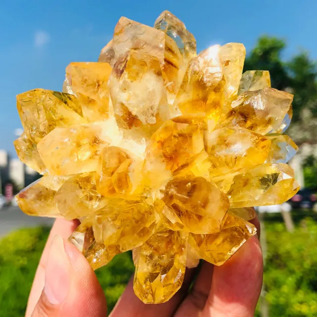 300-400g Yellow Phantom Quartz Citrine Crystal Cluster Mineral Specimen Healing