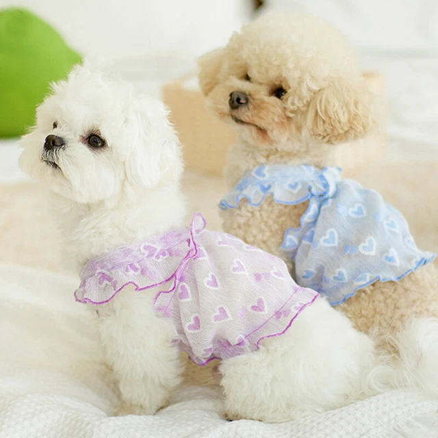 Abito elasticizzato cucciolo ragazza vestiti cane per cane di piccola taglia abbigliamento sottile forniture per animali domestici