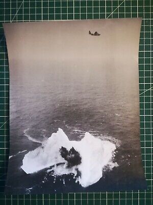 Photo de presse.ALE10126.23x18 cm environ.Antarctique.Angleterre.Iles Falkland. 