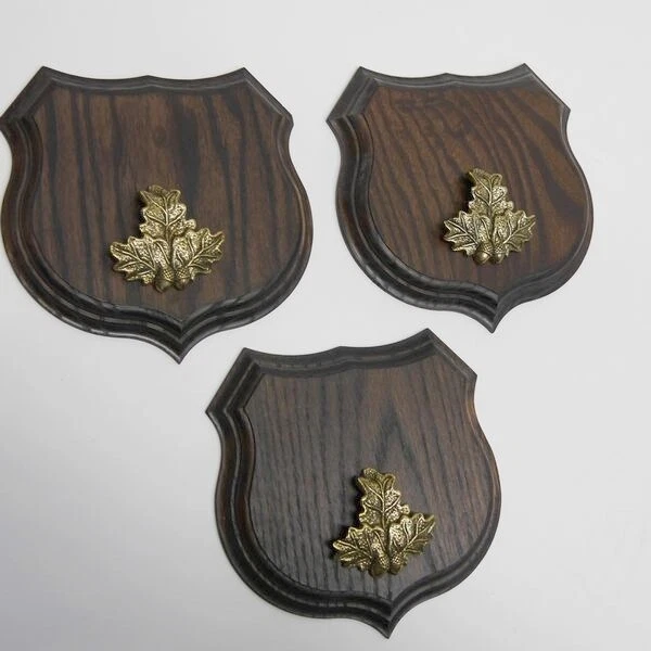 3x Wappenschilder Jabalí Af 15cm Escudo de Trofeo Hoja de Roble Portada Pequeño 3