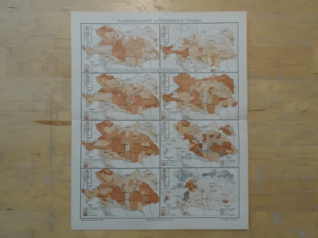 Orig.(1906) Lithographie Landkarte Landwirtschaft in Österreich-Ungarn