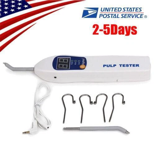 Oral Histology Digital Lab Dental Pulp Zones Of The P vrogue.co