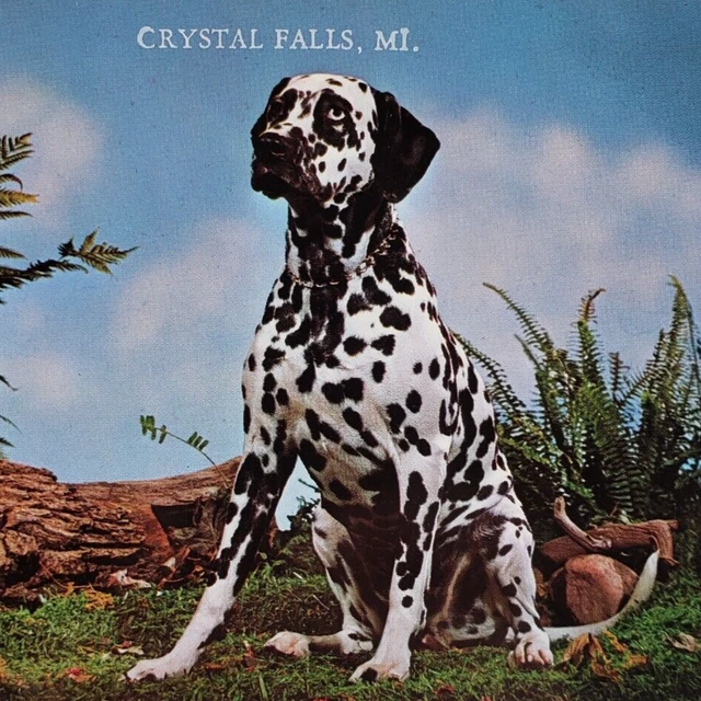 Dalmatian Dog Crystal Falls Postcard 1970s Michigan Purebred Coach Vintage A968