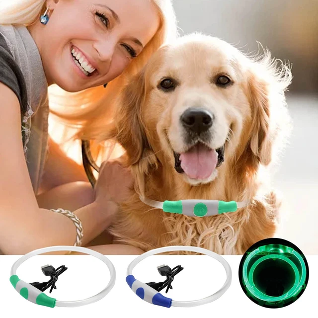 LED Dog Collar Light Up Pet Dog Collars Rechargeable Dog Light For Night Outdoor