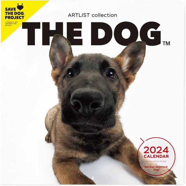 THE DOG WALL Calendar 2024 German Shepherd Dog ‎29 x 29 cm 42.99