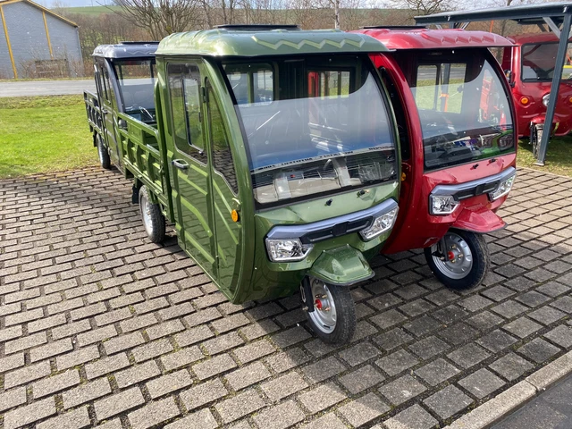 GREEN SPEED Cargo Premium 3-Rad mit Kabine und Pritsche Kipper Lastenrad