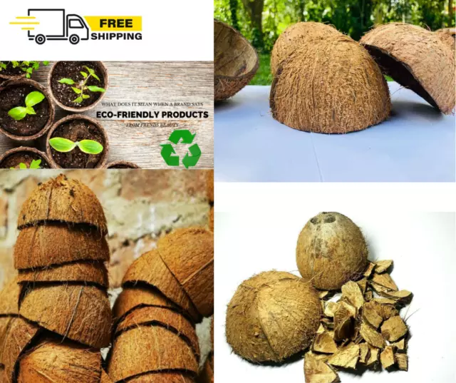 50 x Raw Natural Coconut Shell Halved Aquarium Reptile Den Bowl Bird feeder DIY