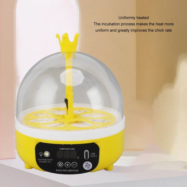 MINI EGG INCUBATOR For Home Automatic Temperature Humidity Eggs Ca BL £ ...