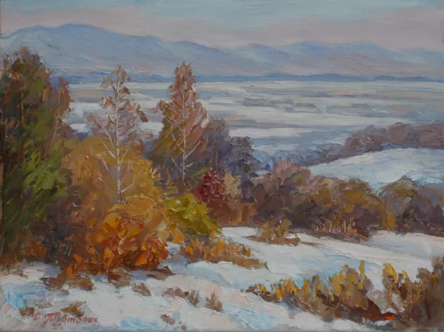 Original Winter landscape in Zakarpattia Oil Painting Impressionism ART