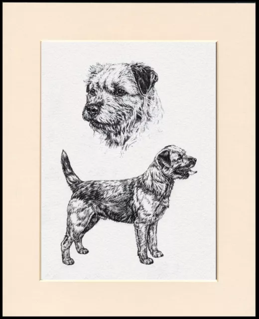 Border Terrier Lovely Dog Sketch Print Mounted Ready To Frame