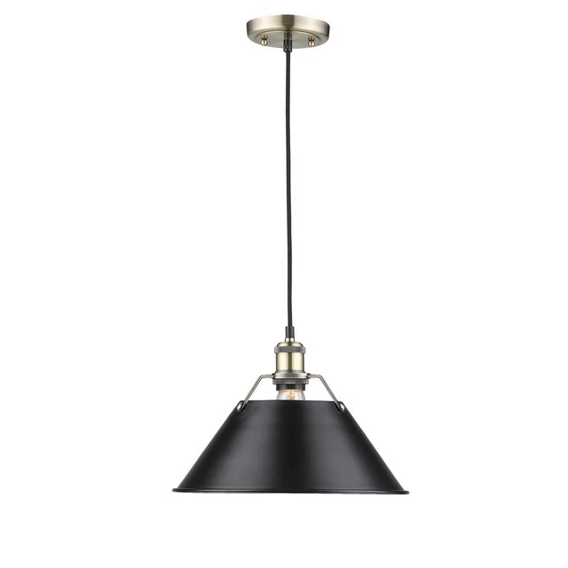 Golden Lighting - One Light Pendant - Orwell - 1 Light Large Pendant-10 Inches